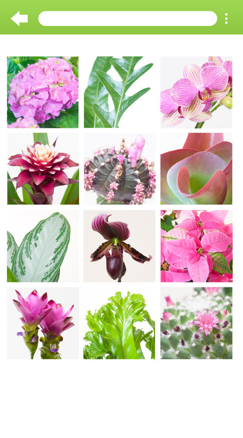 Device Content Image