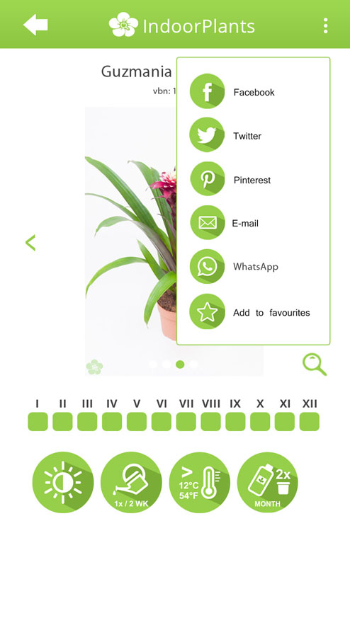 Device Content Image